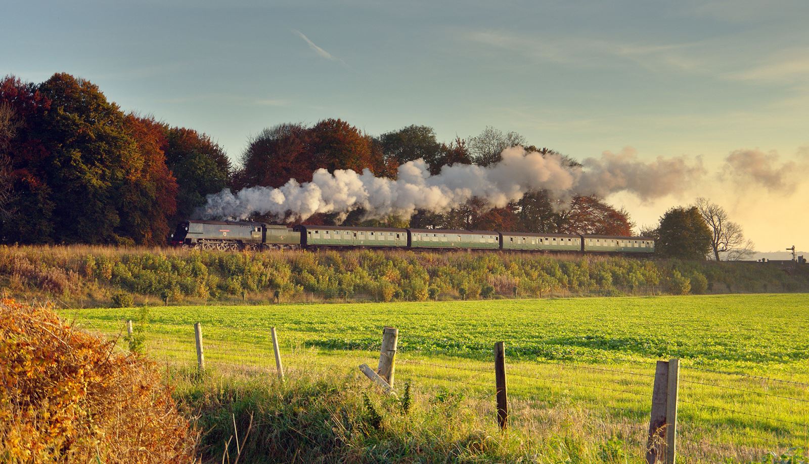 The Watercress Line steaming through the Hampshire countryside